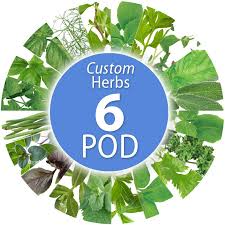 Planting with seed pods is fun and easy! Custom Herb Seed Pod Kit 6 Pod