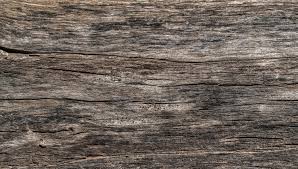 Wooden Texture Background Woodtexturebackground Wooden Texture Background Old Wood Texture With Scratches Lines An Old Wood Texture Wooden Textures Old Wood