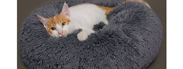 Marshmallow man logo marshmallow root benefits for hair marshmallow root save image. Marshmallow Cat Bed Home Facebook