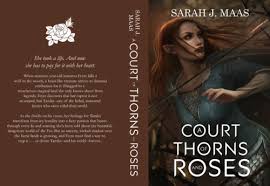 Is This The Graphic Novel Cover Sarah J Maas Books A Court Of Mist And Fury Sarah J