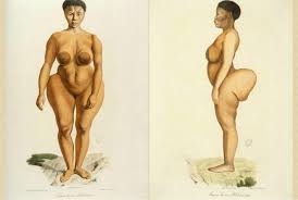 Characteristic of the vertebrate form, the human body has an internal skeleton with a backbone, and, as with the mammalian form, it has. Black Female Artists Embody Visibility Black Art In America