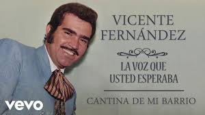 It was into this profound artistic void that fernández stepped in 1966. Vicente Fernandez Cantina De Mi Barrio Cover Audio Youtube