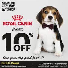 We will find the best pet shops near you (distance 5 km). Top 30 Pet Shops In Gwalior Best Pet Store Suppliers Justdial