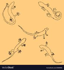Download a free preview or high quality adobe illustrator ai, eps. Butterfly Juli 1981