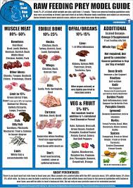Pmr Guide We Feed Raw S A Raw Cat Food Recipes Raw Dog Food Recipes Raw Dog Food Diet