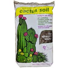If the plant slides out easily you may not need to repot it at all, especially if a significant amount of soil falls away and you see the root ball is considerably smaller than the. Magik Moss Cactus Potting Soil