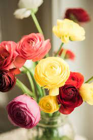Stunning Ranunculus Ranunculus Flowers Beautiful Flower Arrangements Beautiful Rose Flowers