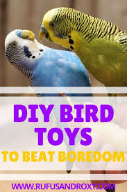 Types Of Birds And Their Meanings 12 Quick Easy Diy Bird Toys To Beat Boredom Diy Bird Toys Diy Birds Bird Toys