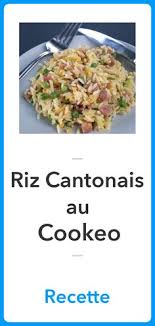 Riz Cantonais Au Cookeo La Meilleure Recette Recette Cookeo Recette Recette Recette Riz Cantonais
