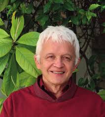 RAPPORT D'ACTIVITÉ 2020