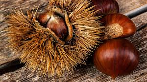 Самые новые твиты от castagne timothy (@castagnetimothy): Castagne Proprieta E Benefici Lifestyle Blog