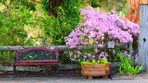 I brung it home, to maybe redo or replace some parts. Log Planter Photos Free Royalty Free Stock Photos From Dreamstime