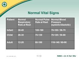 43 punctual vitals chart adults