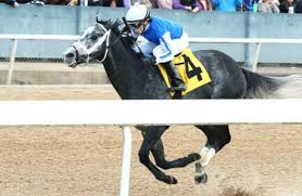 Where do horses go when they're sick? Grade 1 Winner Knicks Go Off To A Good Start For Cox S Barn