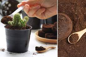 Dünger sorgt dafür, dass sie keine mangelerscheinungen erleiden und ein gesundes, kräftiges wachstum gewährleistet ist. Diese 13 Pflanzen Lieben Kaffeesatz Als Dunger Gartendialog De