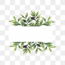 Olive Leaf Frame Frame Watercolor Leaf Png And Vector With Transparent Background For Free Download Watercolor Flowers Pattern Flower Frame Watercolor Leaves