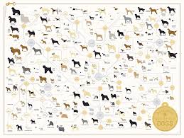 Dog Breed Poster The Diagram Of Dogs 24 X 18 By Pop Chart Lab