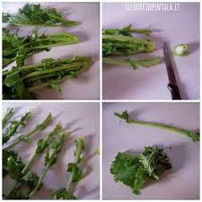 La rapa è la radice della pianta brassica rapa. Come Pulire Le Cime Di Rapa Scuola Di Cucina Con Foto