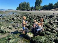 Low Tide Tour