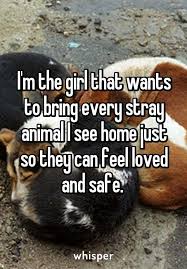 My Boyfriend Call Me The Pet Detective Because I Always On The Watch For A Animal In Need Dogs Pet Detective Animal Quotes