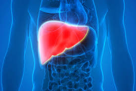 Hepatitis c is spread through contact with blood from an infected person. Rapid Hepatitis C Test Can Improve Diagnosis Treatment Jnews