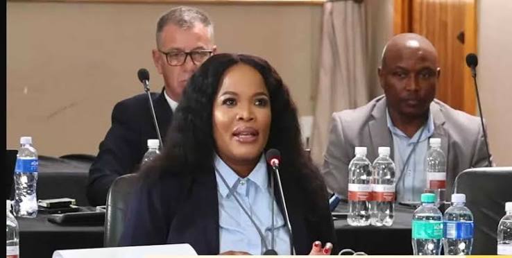 Saps CFO breaks down PKTT budget, says she never discussed it with Mchunu | The Citizen
