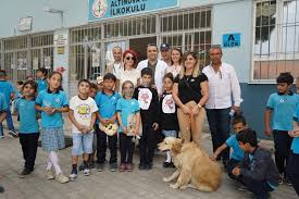 Kopek Barinagi Ayvalik Belediyesi