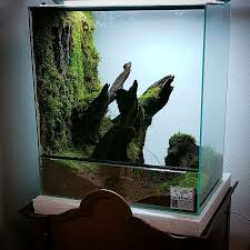 Something New In Progress And Looks Very Interesting Ddreptiles Co Uk Paludariumproject Paludarium Tera Nature Aquarium Aquascape Aquarium Vivarium