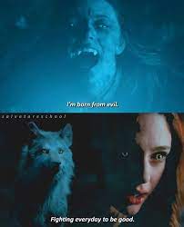 Pin By Saraphena On Hope Mikaelson Vampire Diaries Funny Vampire Diaries Memes Klaus From Vampire Diaries