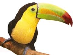 toucan.site