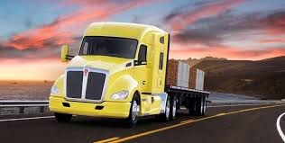 Image result for Yellow 2016 Fleet