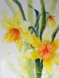 Art Fine Art Watercolor Painting Of Yellow Daffodil Flowers Flower Art Floral Watercolor Watercolor Flowers Paintings