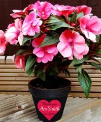 Choose from monogrammed, engraved, photo and. Personalised Plant Pots And Planters Archives Printz N Graffx