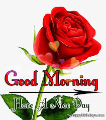 Good morning inspiration quotes in hindi. 200 Beautiful Good Morning Wishes With Roses Flowers Hd