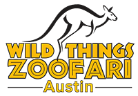 Check spelling or type a new query. Houston Petting Zoo Exotic Petting Zoo And Animal Shows