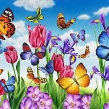 600 varieties specially selected for home gardeners, including heirlooms, organics, and open pollinated flowers. Flowers Drawings Inspiration Garden Of Butterflies Flowers Tn Leading Flowers Magazine Daily Beautiful Flowers For All Occasions