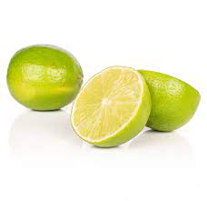 Enter name or key word. Bearss Dwarf Lime Tree Alder Oak Inc Plants Delivered