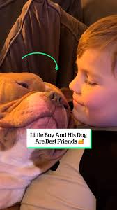 How do you feel about being my bestfriend?" 😭🥹