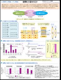 サティス製薬