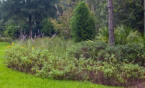 20% off all flower deliveries! How To Start A Florida Native Plant Garden Plant City Observer