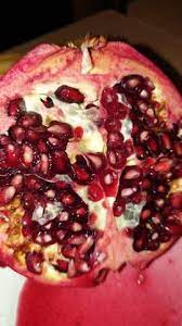 Der sieht aber lecker aus. Granatapfel Reif Obst Fruchte Reife