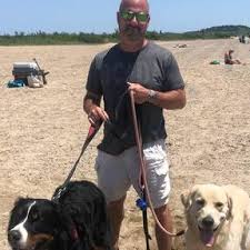 In Home Pet Sitting In Revere Massachusetts