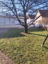 Suchen sie nach garten in neunkirchen (brand) Archiv Wohnungen Zu Vermieten Ludwigsthal Mapio Net