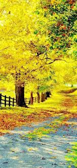 1080x2340 Background Hd Wallpaper 181