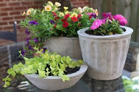 Estás en maceterosyjardineras.com y en esta tienda afiliada de amazon, te mostraremos las últimas tendencias en maceteros de cemento, macetas. Como Hacer Macetas De Cemento
