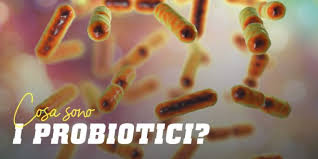 Alimenti ricchi di probiotici e prebiotici. Probiotici Cosa Sono Quali Sono I Loro Benefici Per La Salute