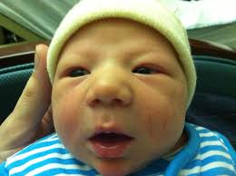 Isabelle Bédard (@isabelle_bedard) • Instagram photos and videos