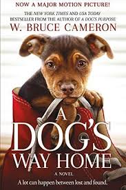 29 Books To Read Before They Re 2019 S Most Popular Movies A Dogs Purpose Novels Dog Books