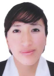 Ingresos de Otorongos Elecciones 2022