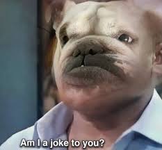 Best 30 Am I A Joke To You Fun On 9gag